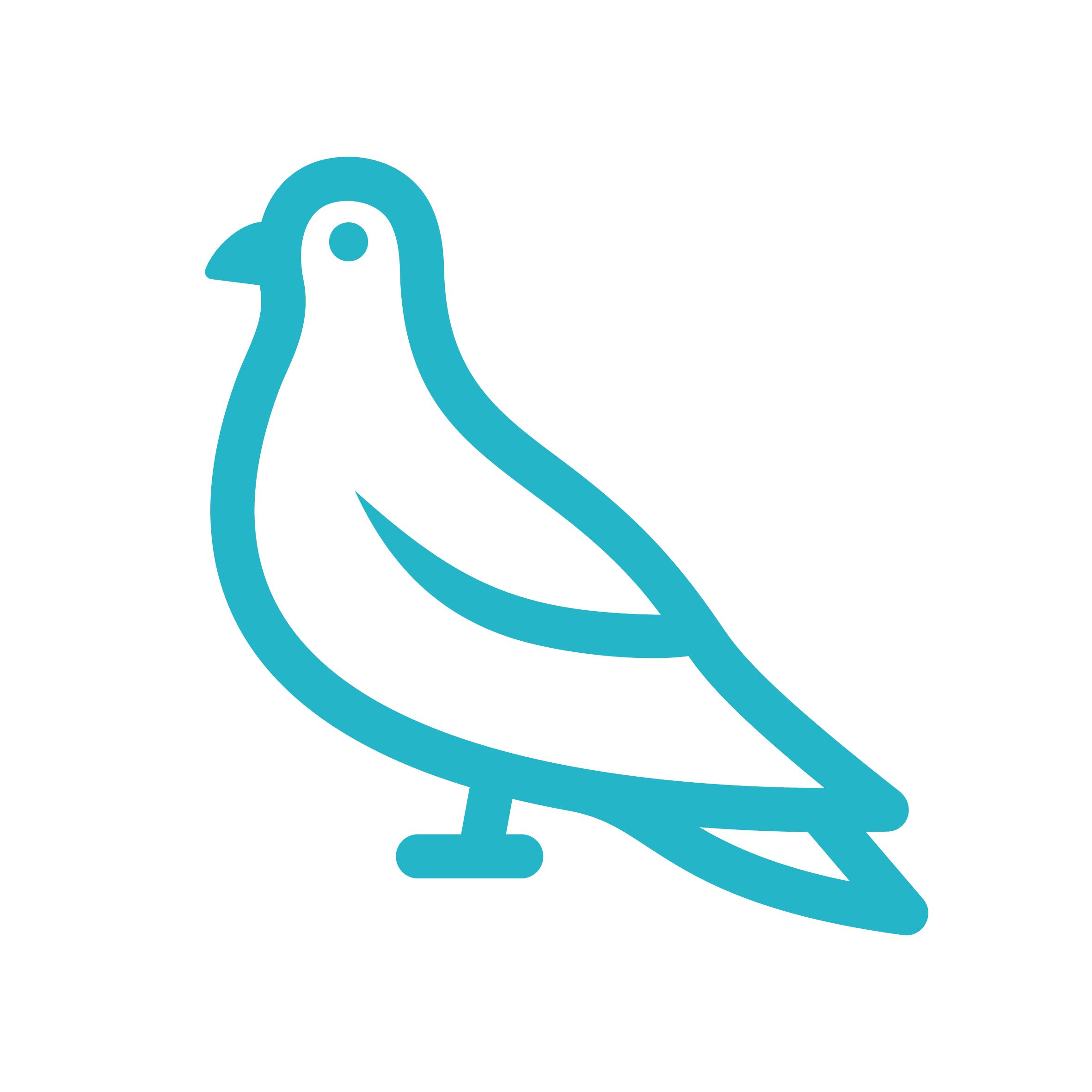 Pigeon icon