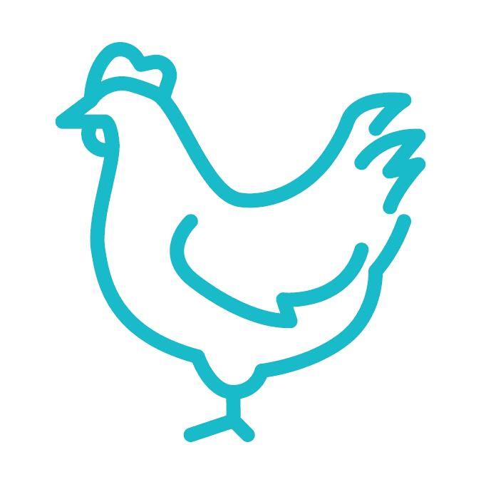 Poultry icon